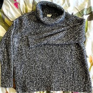 Aritzia Sweater